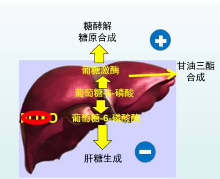 卵巢多囊可以补硒吗