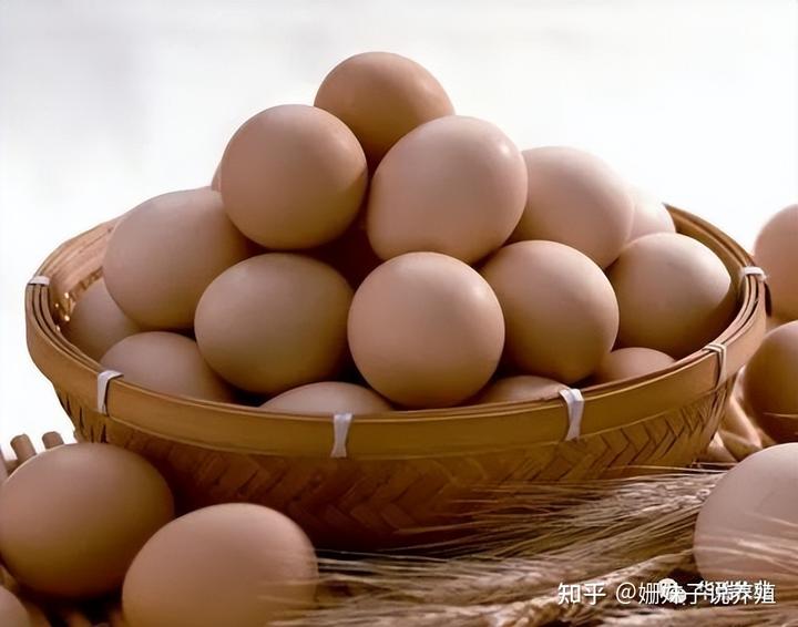 鸡蛋壳补钙