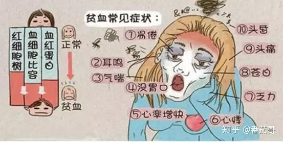 吃鸡蛋补铁吗