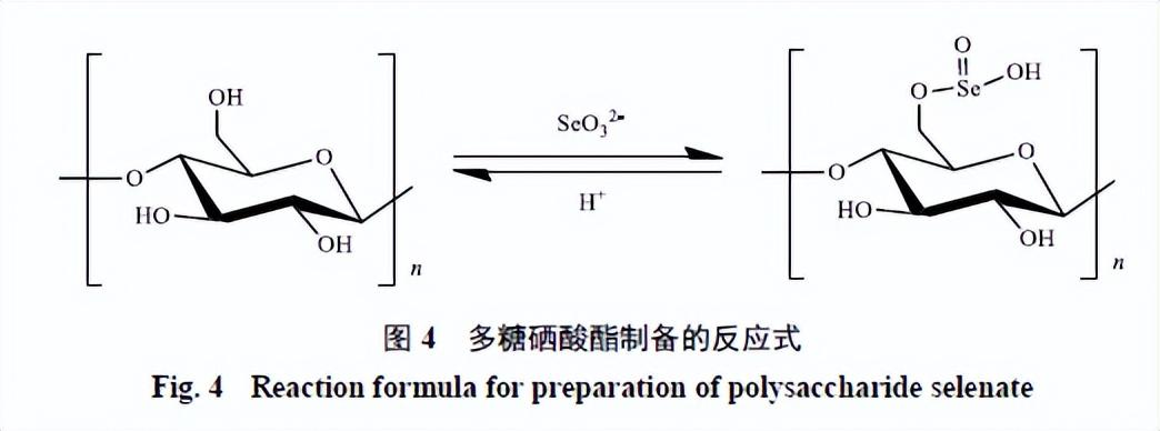 肺结节能补虫草硒吗