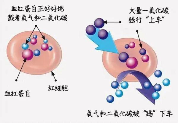 五十岁可以适当补硒