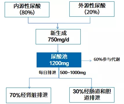 虾米补钙吗