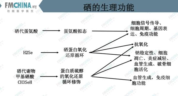 微量元素铅