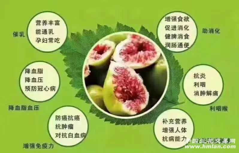 无花果怎么补硒的好