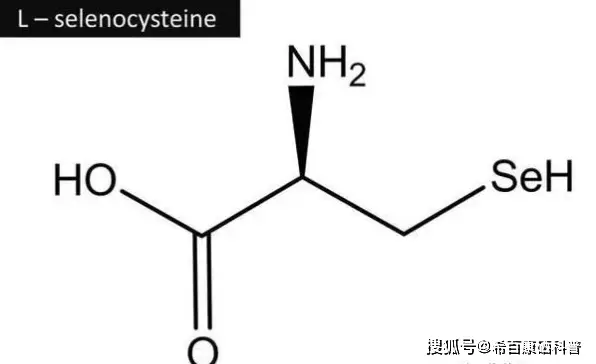 补硒哪个厂家产品好