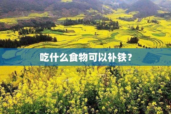 吃什么食物可以补铁？