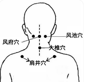 新冠期间谁建议补硒