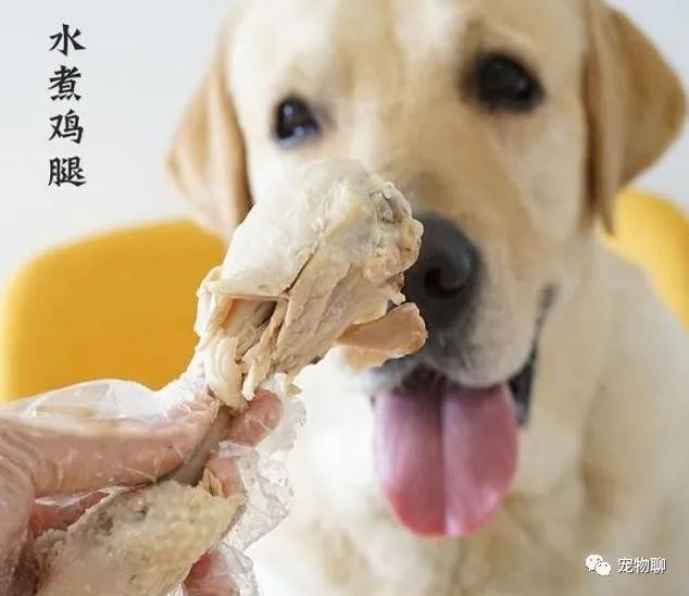 狗吃什么食物补钙