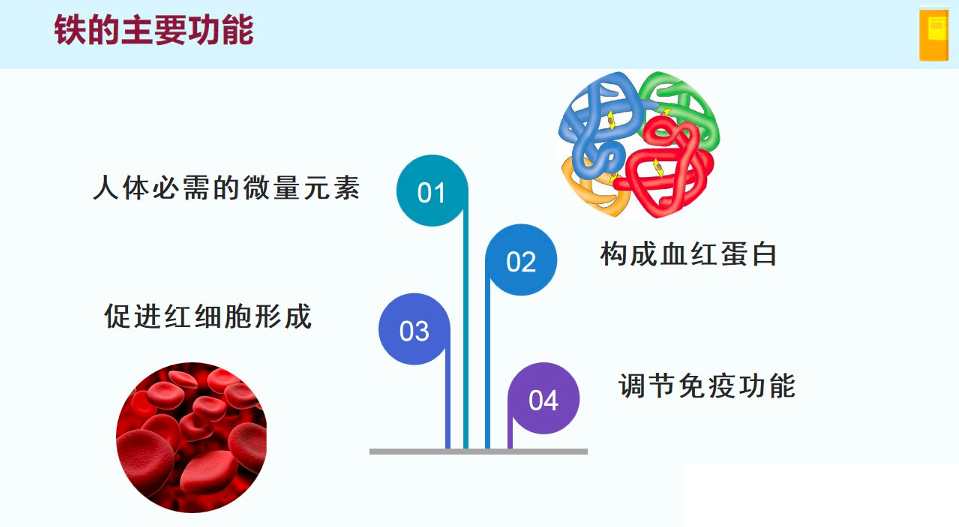 什么补铁药效果最好