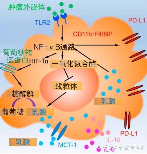 血小板低下能补硒吗