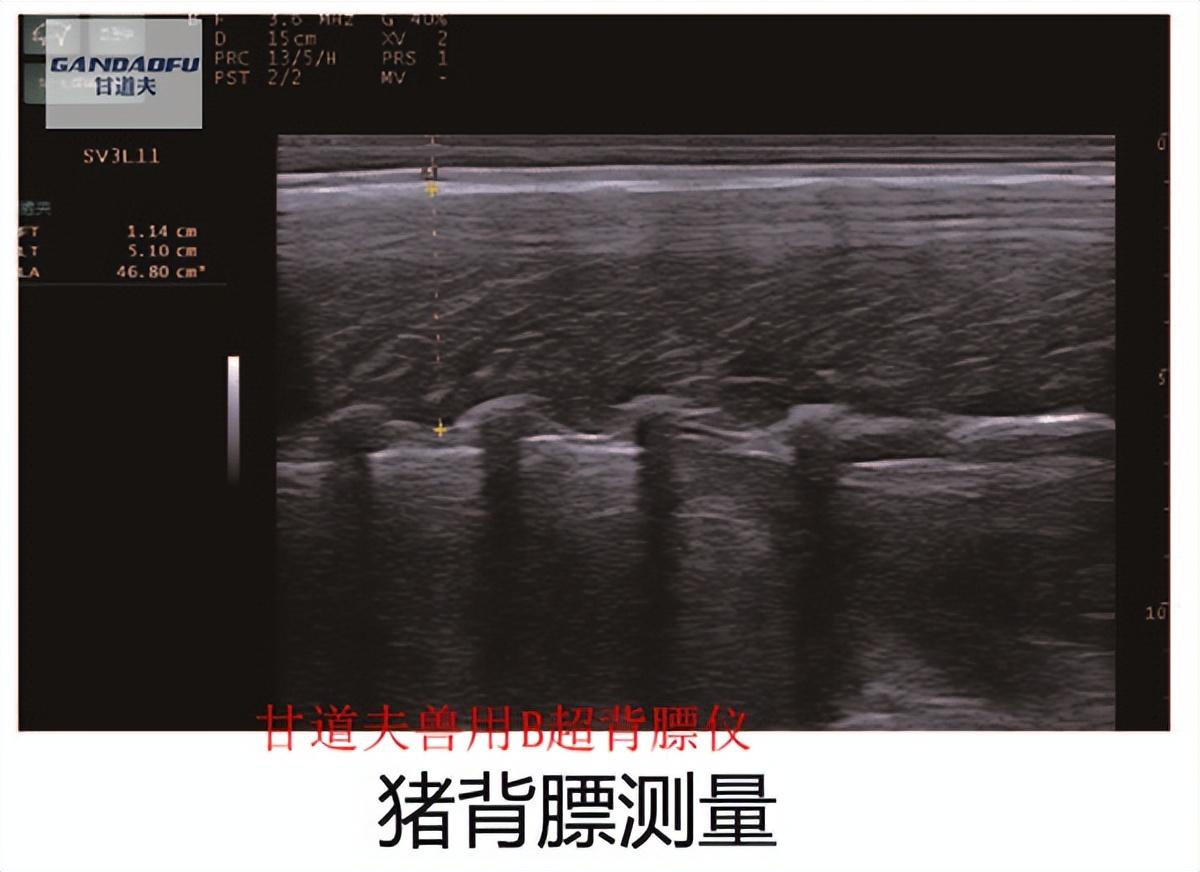 医用微量元素测定仪