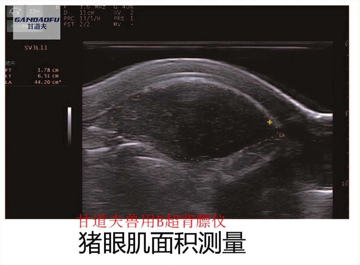 医用微量元素测定仪