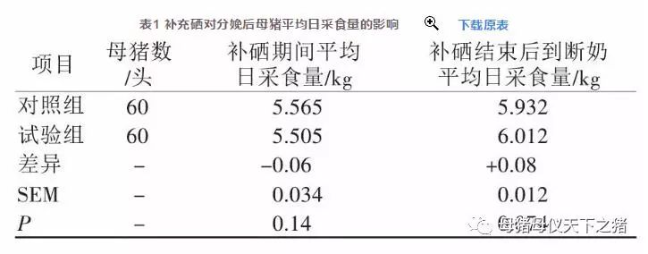 仔猪补硒在什么时间