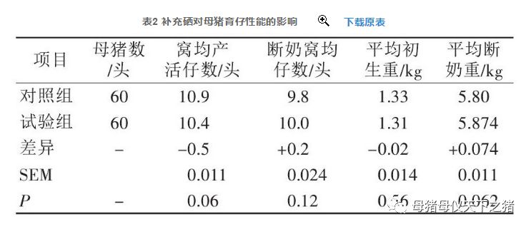 仔猪补硒在什么时间