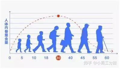 老年人要补钙吗