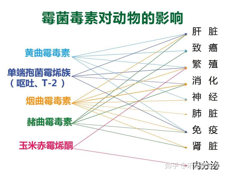 给猪补硒的药有哪些