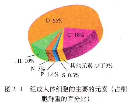 细胞微量元素