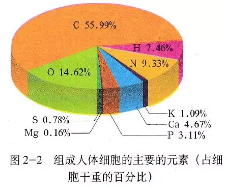 细胞微量元素