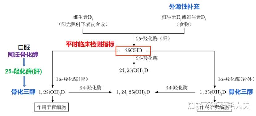 补钙 维生素