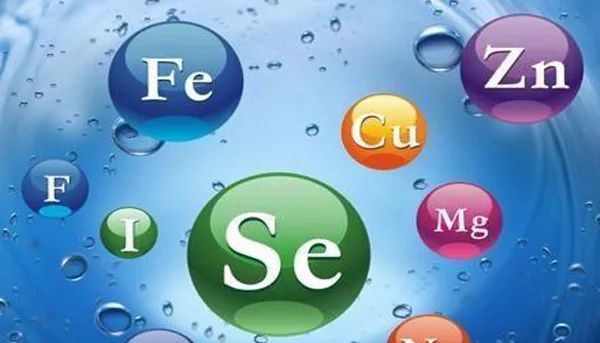 微量元素是什么