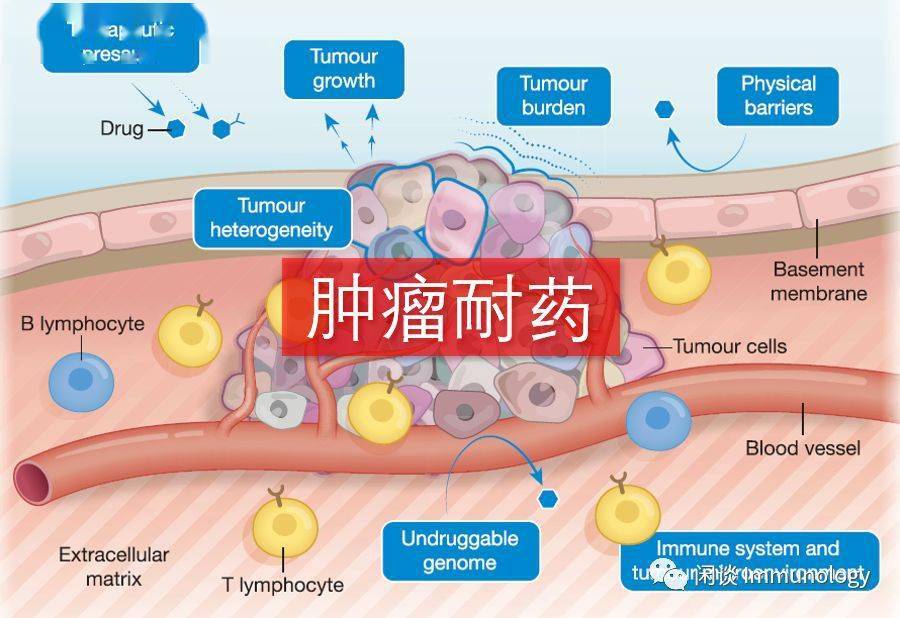 补硒影响打胰岛素吗