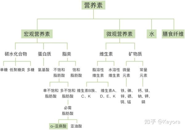 缺锌硒补哪个维生素