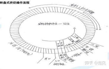 纯牛奶补钙吗