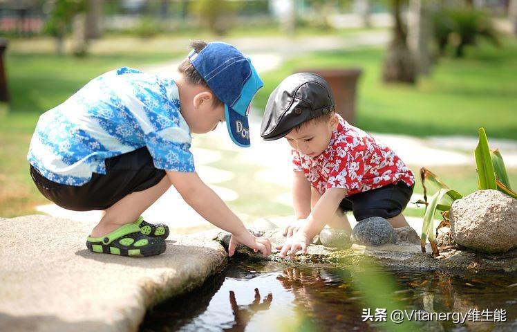 每天一个鸡蛋补钙吗