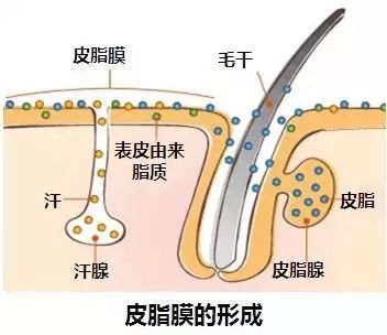 脸上长痘补硒有用吗