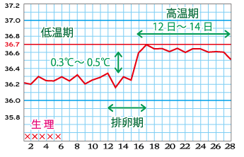 如何补铁