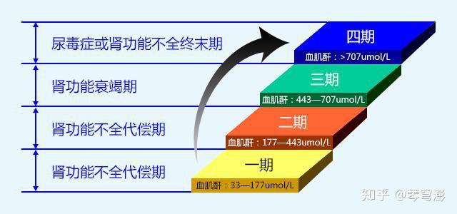 肌酐偏高补硒有用吗