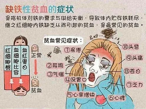 补铁的药一停就立马贫血