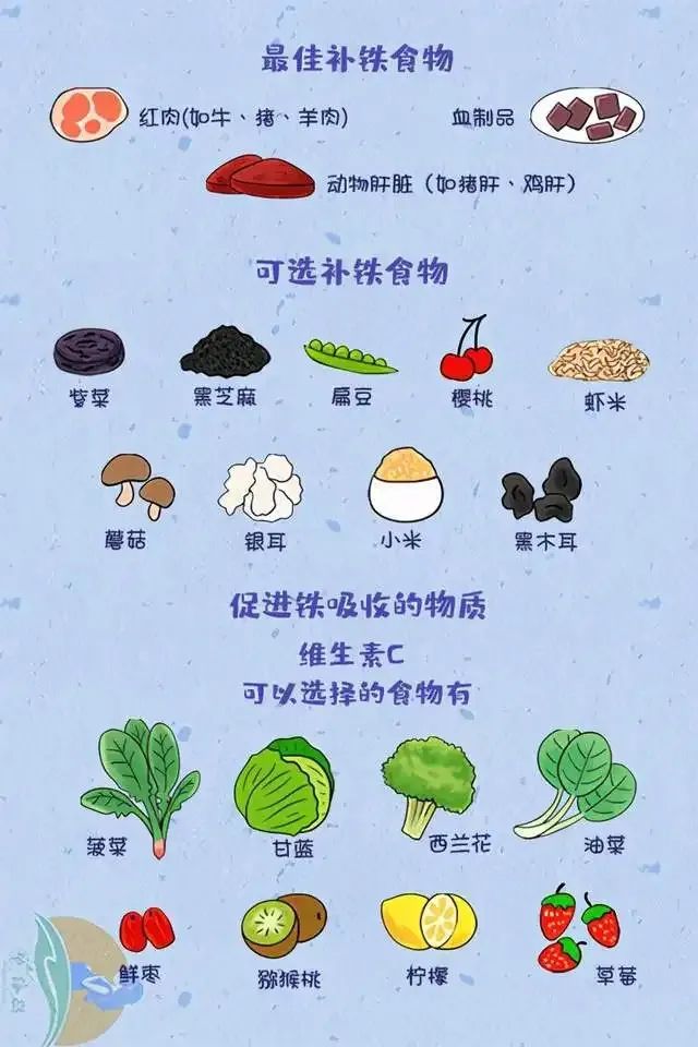 补铁的药一停就立马贫血