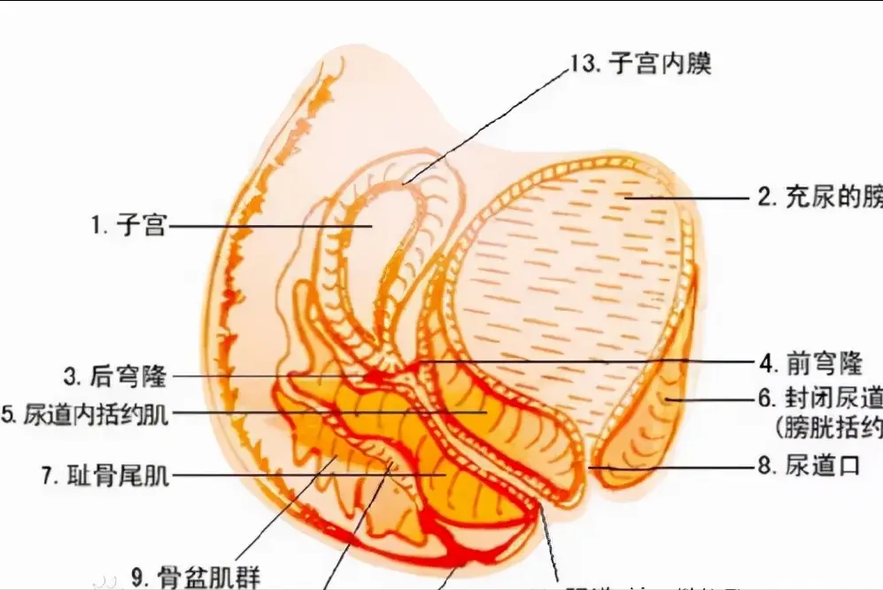 阴道炎补硒有好处吗