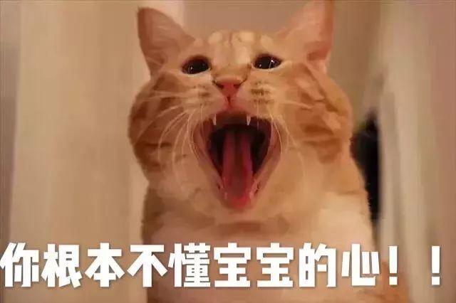 猫咪怎么补钙