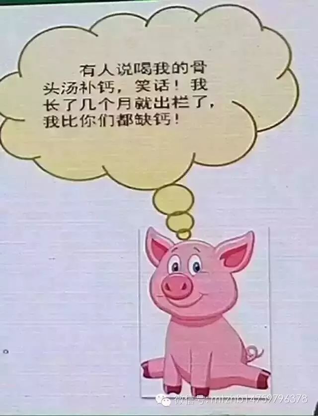 孕几月开始补钙