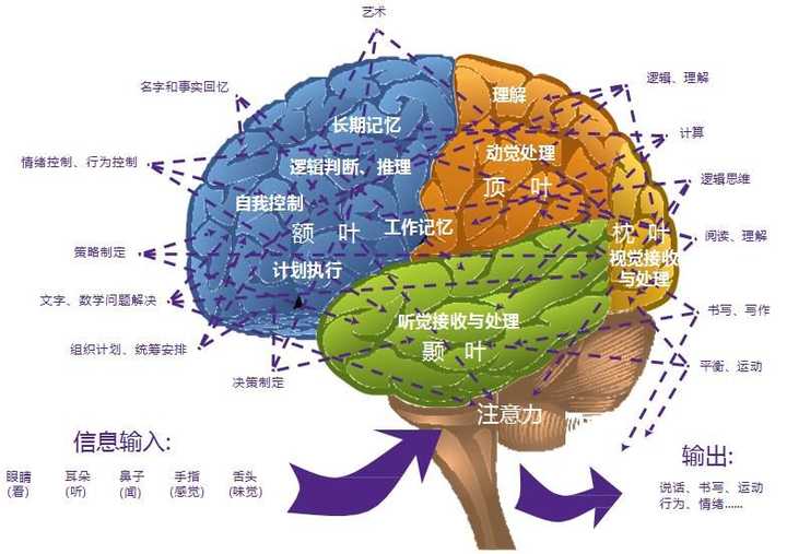 类风湿性关节炎补硒