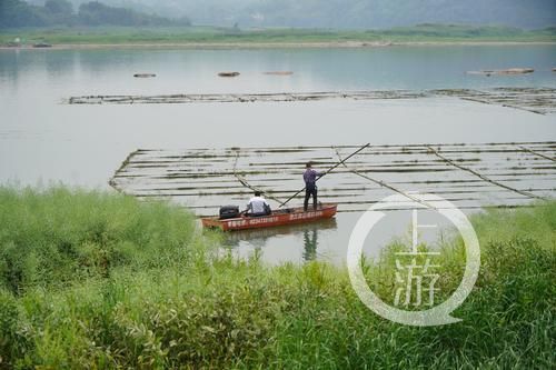 江津富硒农产品认证