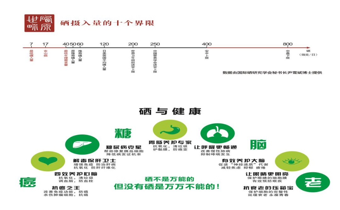 安康富硒绞股蓝产品