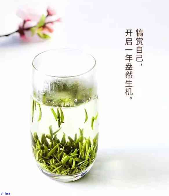 陕西汉中有何名茶？了解当地特色茶品！