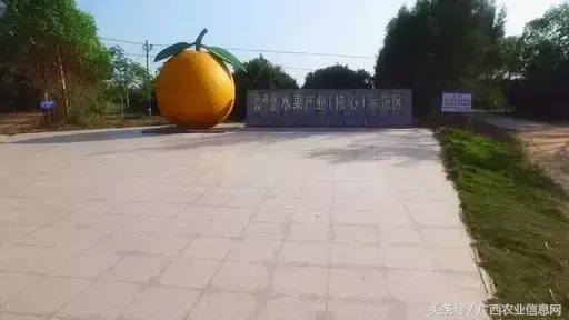 南宁富硒农产品基地