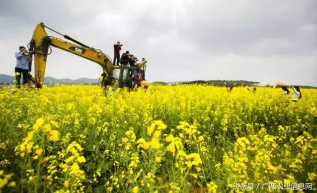 南宁富硒农产品基地