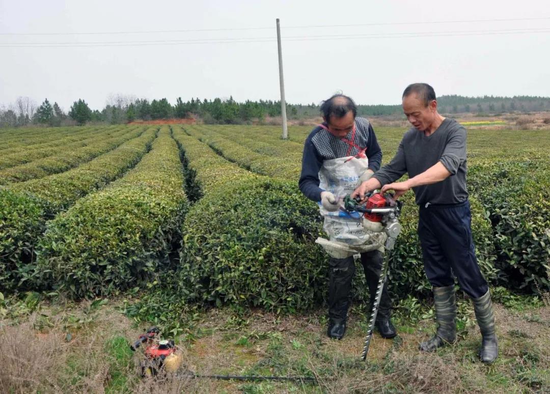 鄱阳湖富硒大米产品