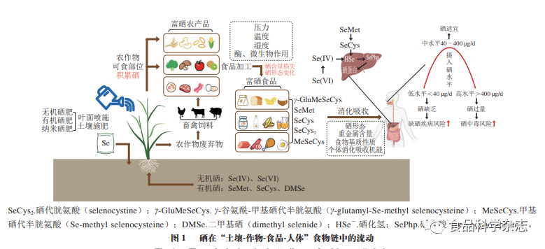 富硒产品的发展趋势