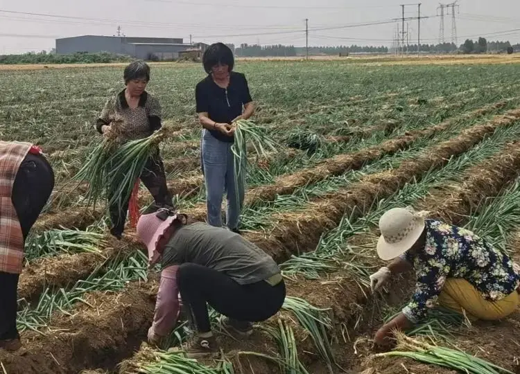 济南富硒农产品会员