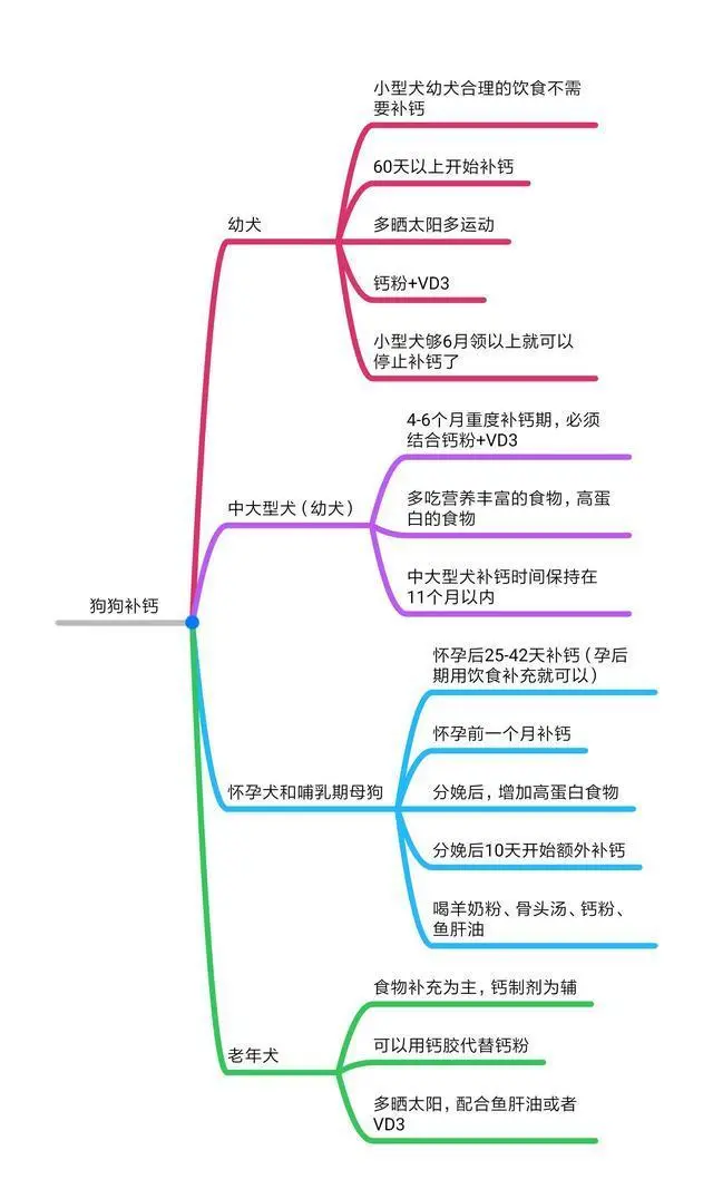 怎么给狗狗补钙