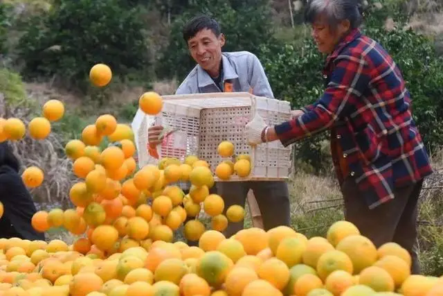 富硒农产品宣传口号