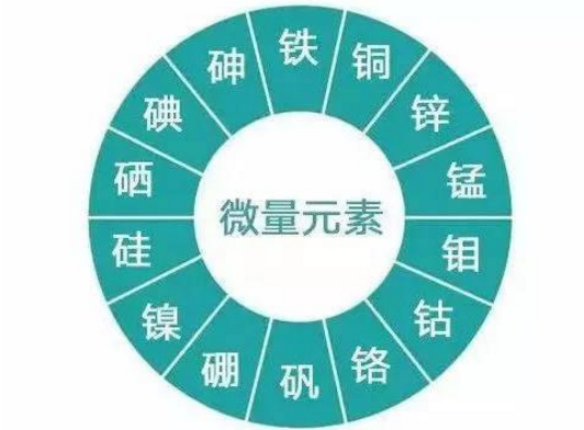 微量元素缺乏怎么补充