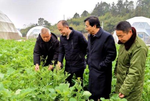 湖南富硒农产品种植