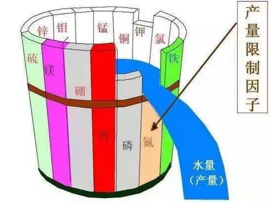 微量元素片